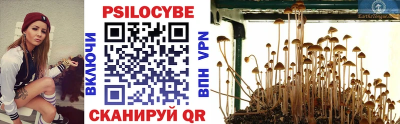 Псилоцибиновые грибы MAGIC MUSHROOMS нарко площадка Telegram Давлеканово сколько стоит